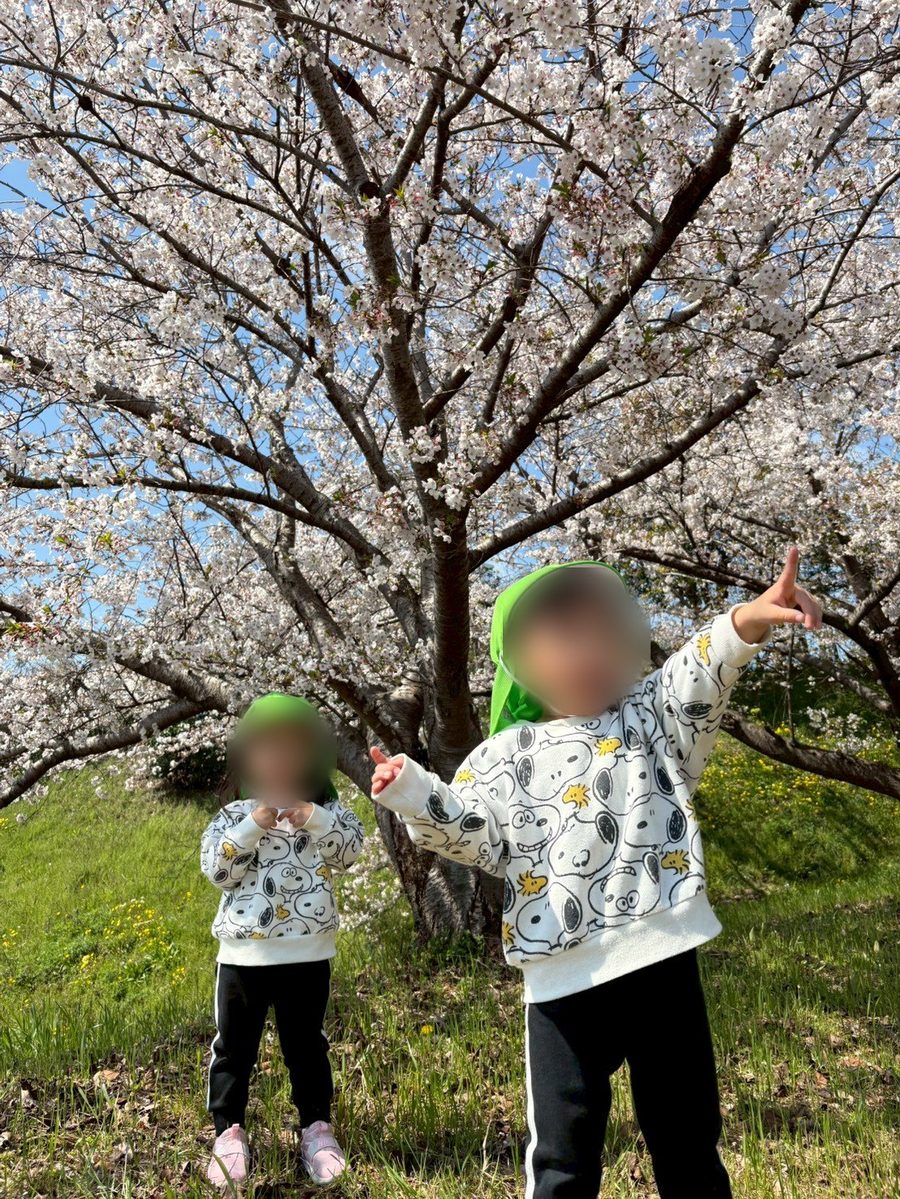 桜の木の下でのお散歩(園外保育)